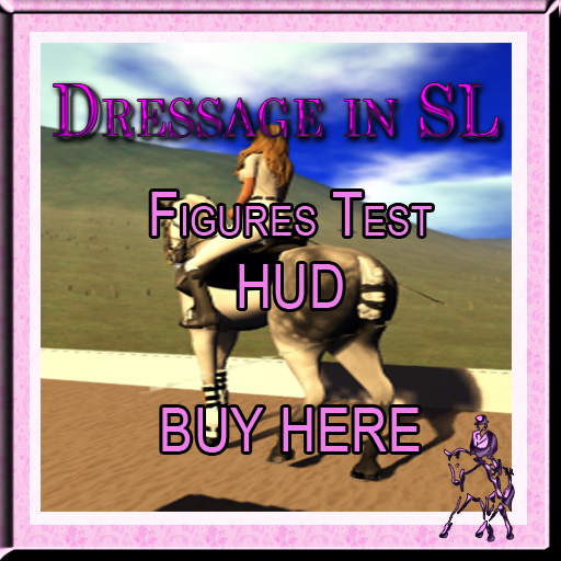 Dressage in SL: Figures Test