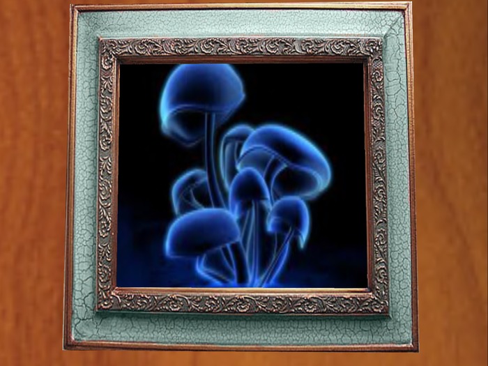 glowing shrooms