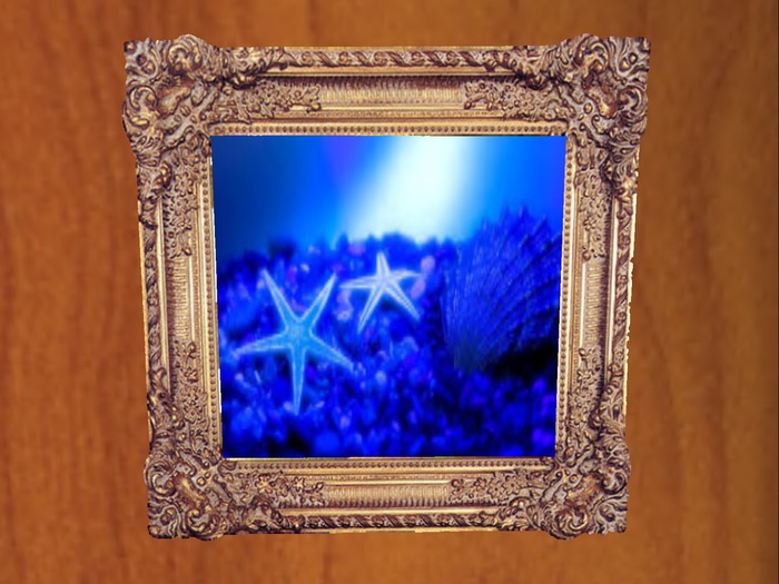 underwater framed