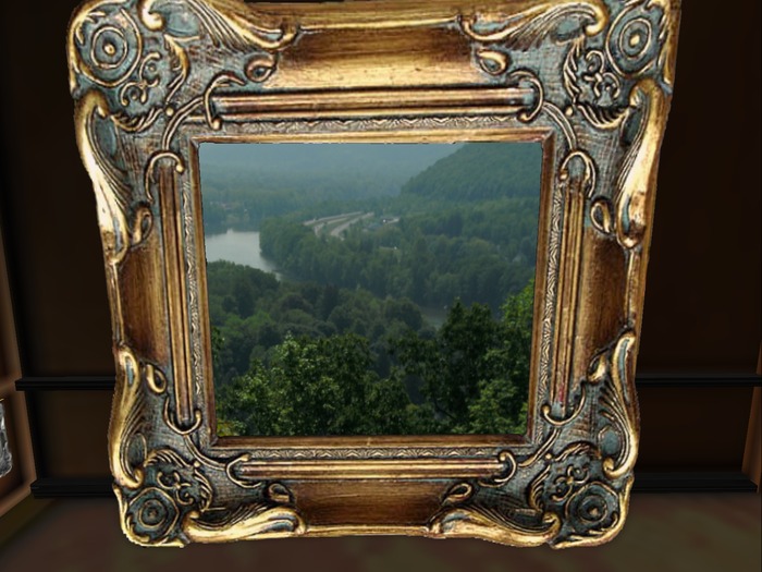 owego natuer framed