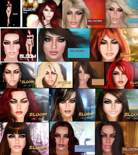 Shapes Complete Set 32 shape Full perms