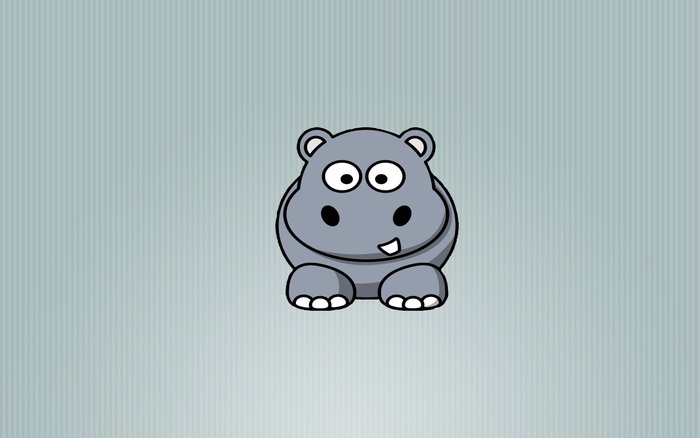 hippo
