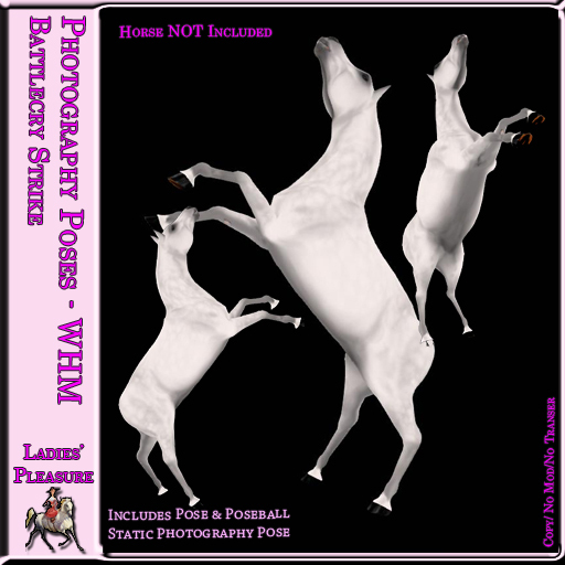 ~LP~ WH Pose - Boxed - Battlecry 