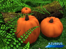 {Azureus} Pumpkin