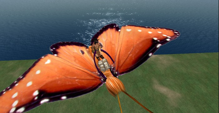 Big Butterfly Flyer