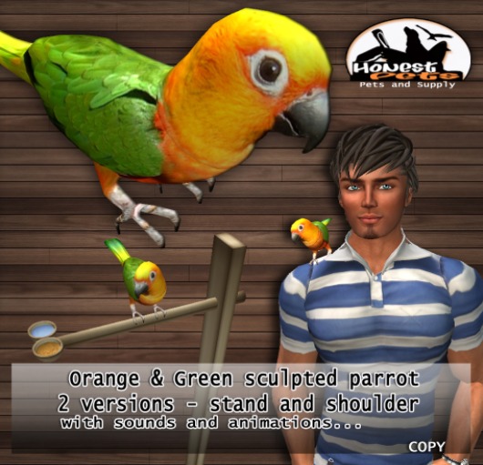 .:HP:. Orange & Green Parrot