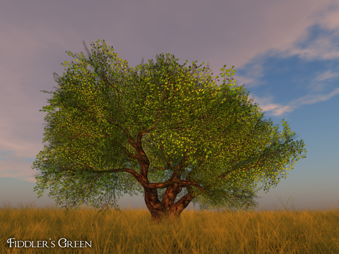 -FG- Big Lime Tree (18m high 30m wide, TRANS)