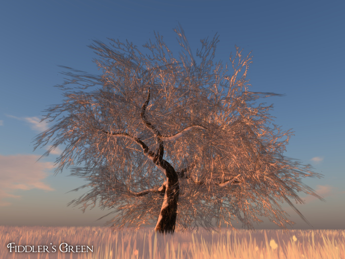 FG Tree 15 winter (COPY) 
