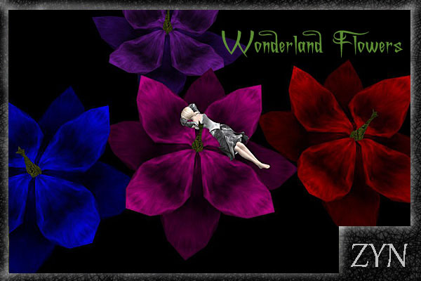 Zyn ~ Wonderland Flower ~