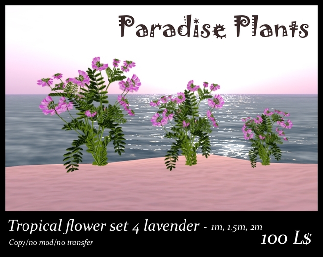 TF4 lavender set