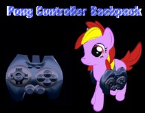 Controler saddle bags.