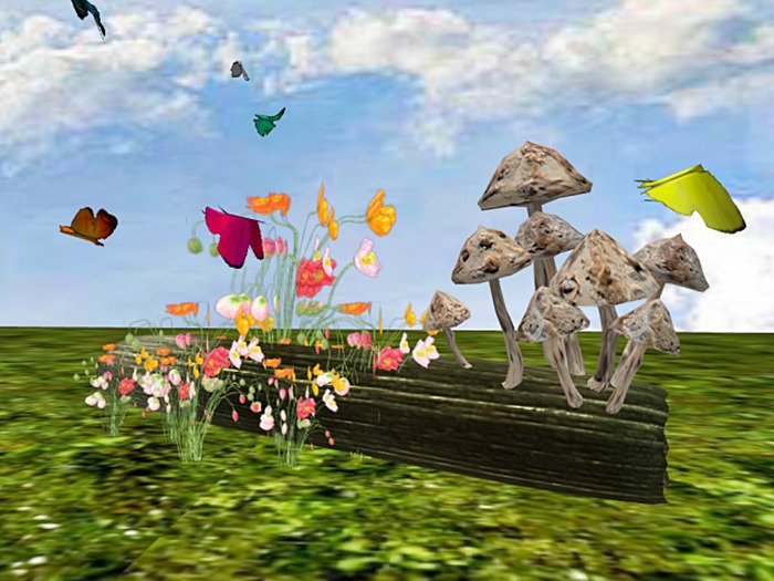 Tronco borboletas Koala - Art & Craft