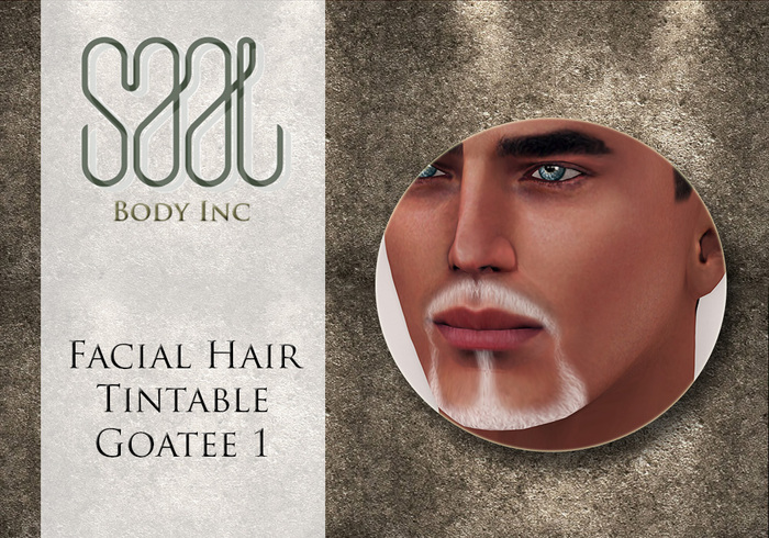 .::SAAL::. FACIAL HAIR TINTABLE  GOATEE 1