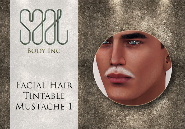 .::SAAL::. FACIAL HAIR TINTABLE  MUSTACHE 1