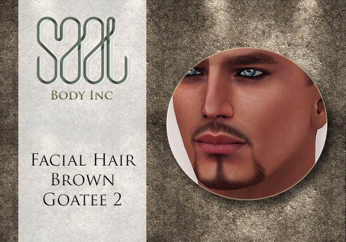 .::SAAL::. FACIAL HAIR BROWN GOATEE 2