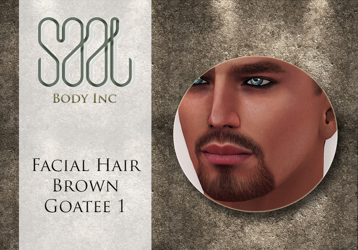 .::SAAL::. FACIAL HAIR BROWN GOATEE 1