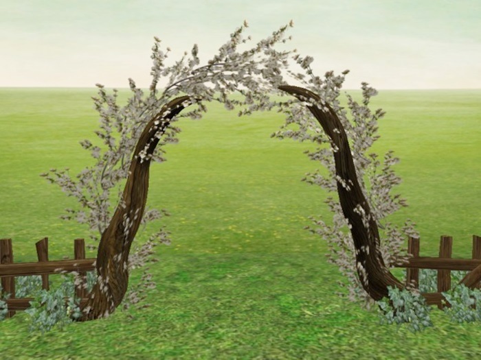 Arch foliage apple - Fence Welled