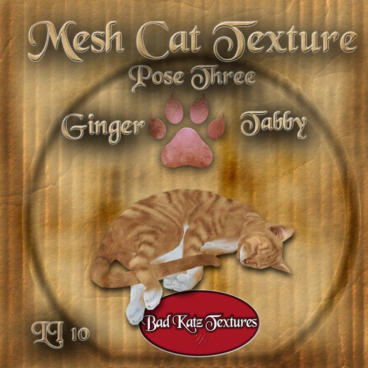 Bad Katz Mesh Cat Pose_1