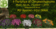 Mesh Fall  9 Varieties of Chrysanthemums, .Mesh Ultralight 5LI ea, 2 Linked = 1Prim