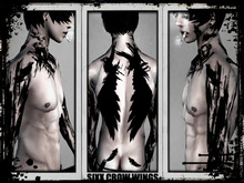 <<BoM>> [M] Sixx Crow Wings