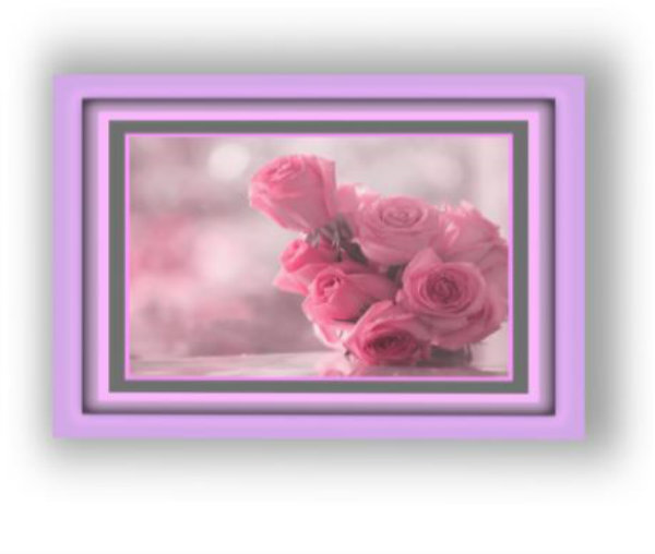 SOFT ROSES 