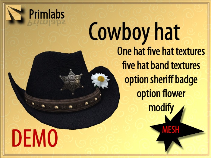 DEMO cowboy hat