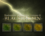 Blackthorn honey locus display
