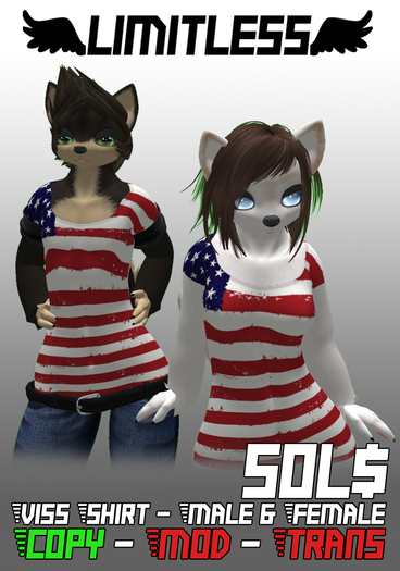 Limitless - Viss - American Flag Shirt