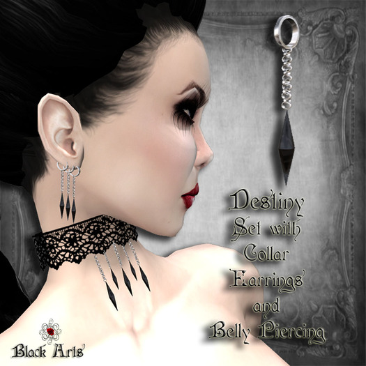 ~Black Arts~Destiny Set Silver/Black