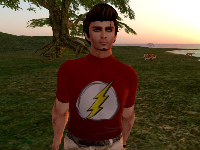 The Flash