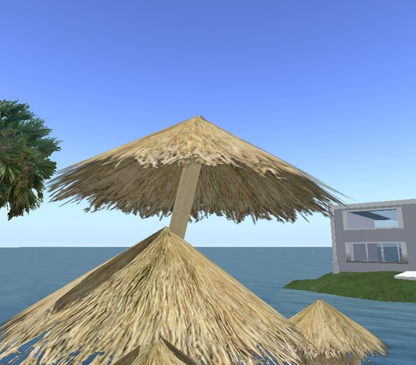 thatched cone (CM) (XSSL)