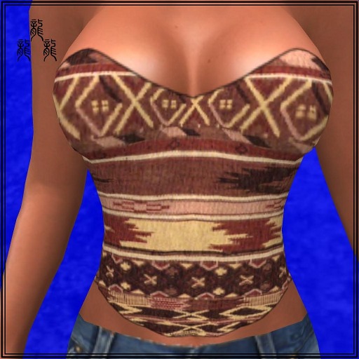 TanWestern-corset04-Dragons'