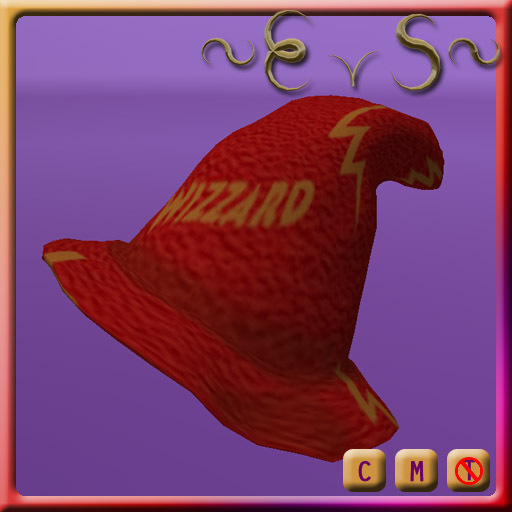 ~EvS~ Wizzard Hat 1.00 (Rincewind Discworld)