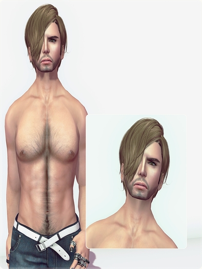 [ The Freestyle ] - Brad