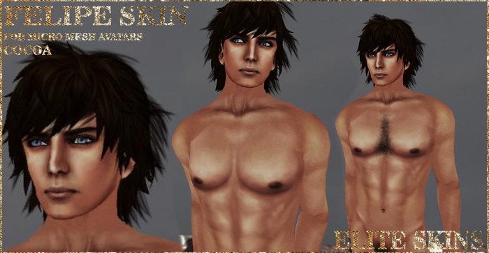 Zed Sensations*.Felipe skin MICRO COCOA for magical micro mesh pixie avatars