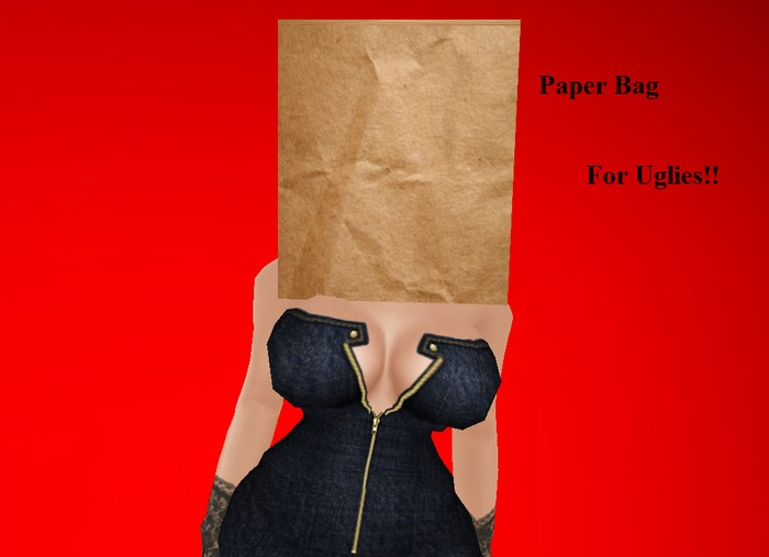 Paper Bag For Uglies