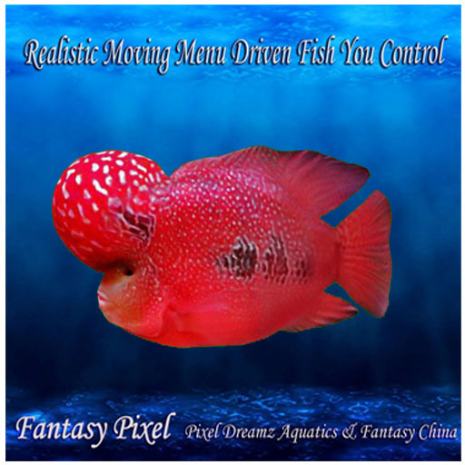 Realistic Moving Menu Driven Fish YOU CONTROL  -Recording fish 34