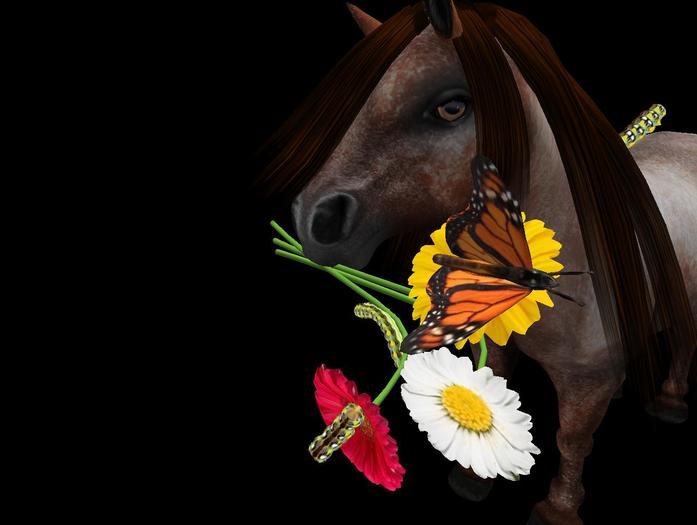 (TC)Nohm Animated flower,Wh Shetland,draft,normal Mesh Horses