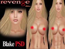 Blake Limited PSD-DEMO