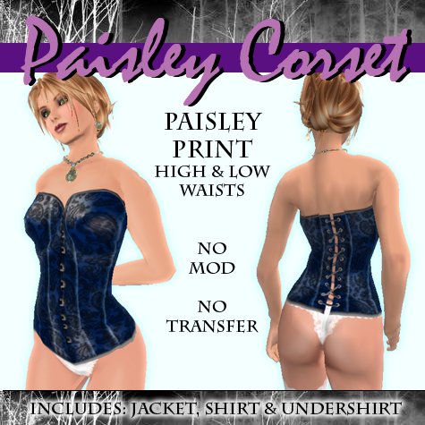Blue Paisley Corset ~ BOXED