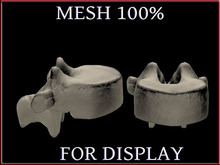 T-3D Creation [ Skeleton Vertebra ] MESH - Full Perm