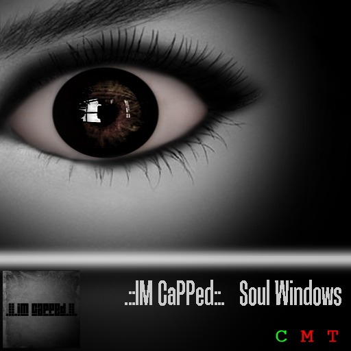 .::IM CaPPed::. Soul Windows - Rapt - Hardwood - BX