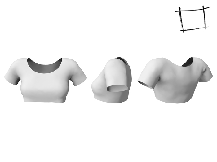 FULL PERM Rigged Mesh Ladies Crop T-shirt