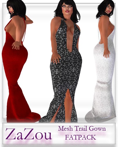 ZaZou Mesh Trail Gown DEMO