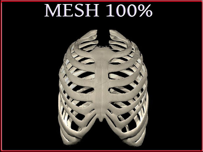 T-3D Creations [ Skeleton Ribs ] MESH - Full Perm -