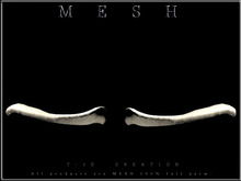 T-3D Creation [ Skeleton Clavicle ] MESH - Full Perm