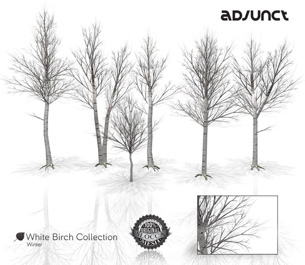 Adjunct Garden - White Birch (Transfer/Modify) - Winter
