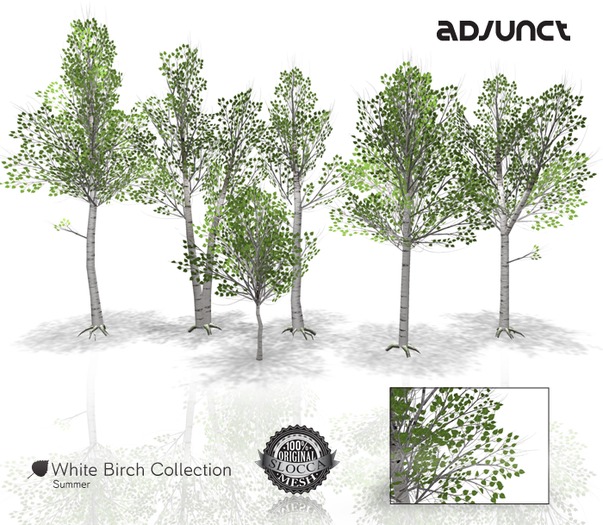 Adjunct Garden - White Birch (Transfer/Modify) - Summer
