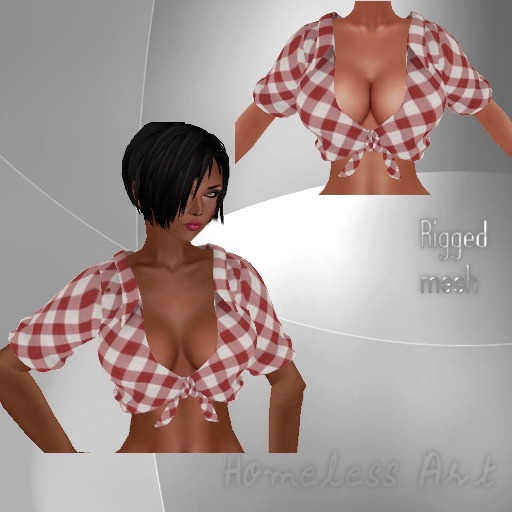 :Homeless Art. Checked Shirt* MESH