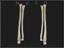 T-3D Creations [ Skeleton Arms (Radius and Ulna) ] MESH - Full Perm